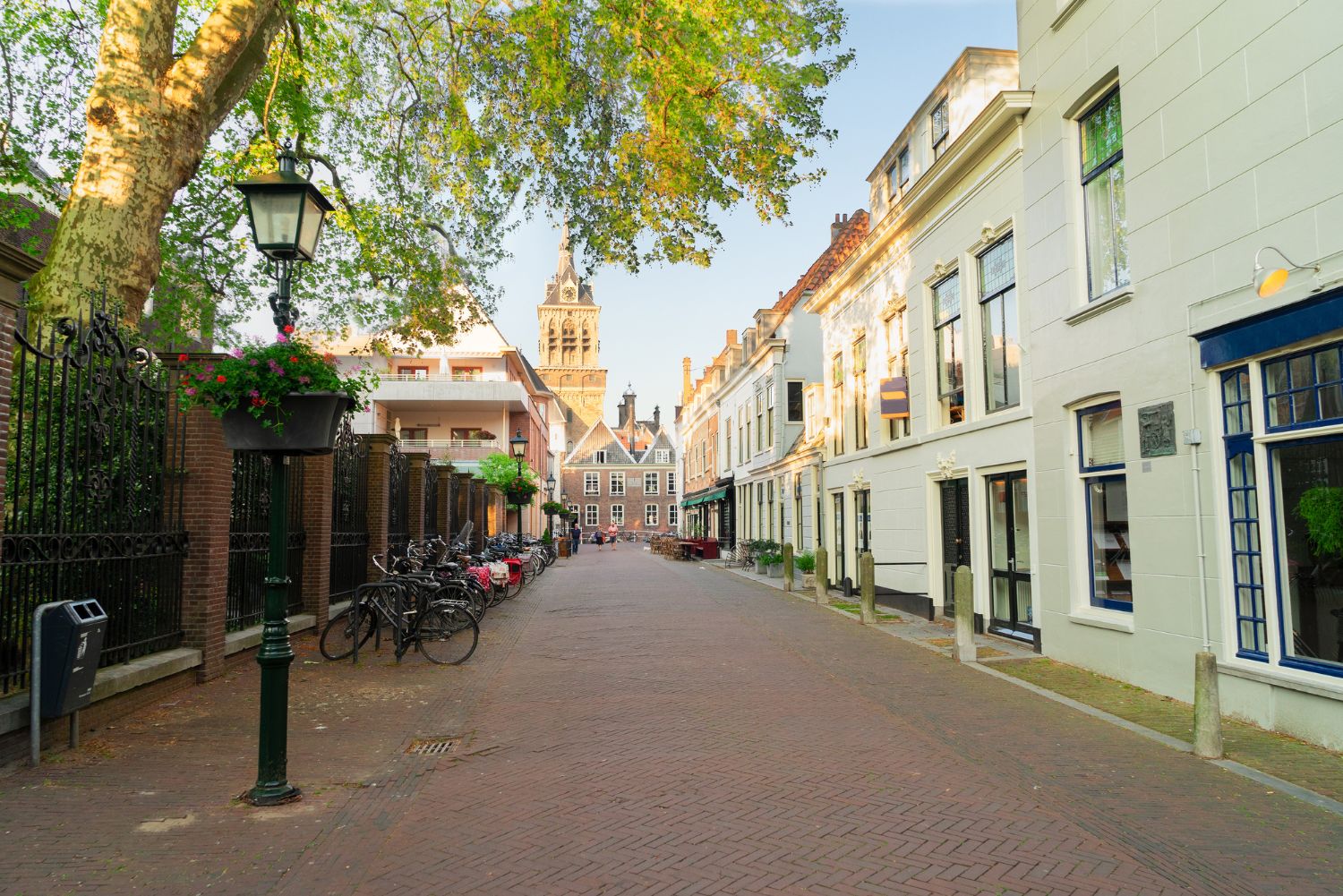 Winkelstraat in het centrum van Den Haag