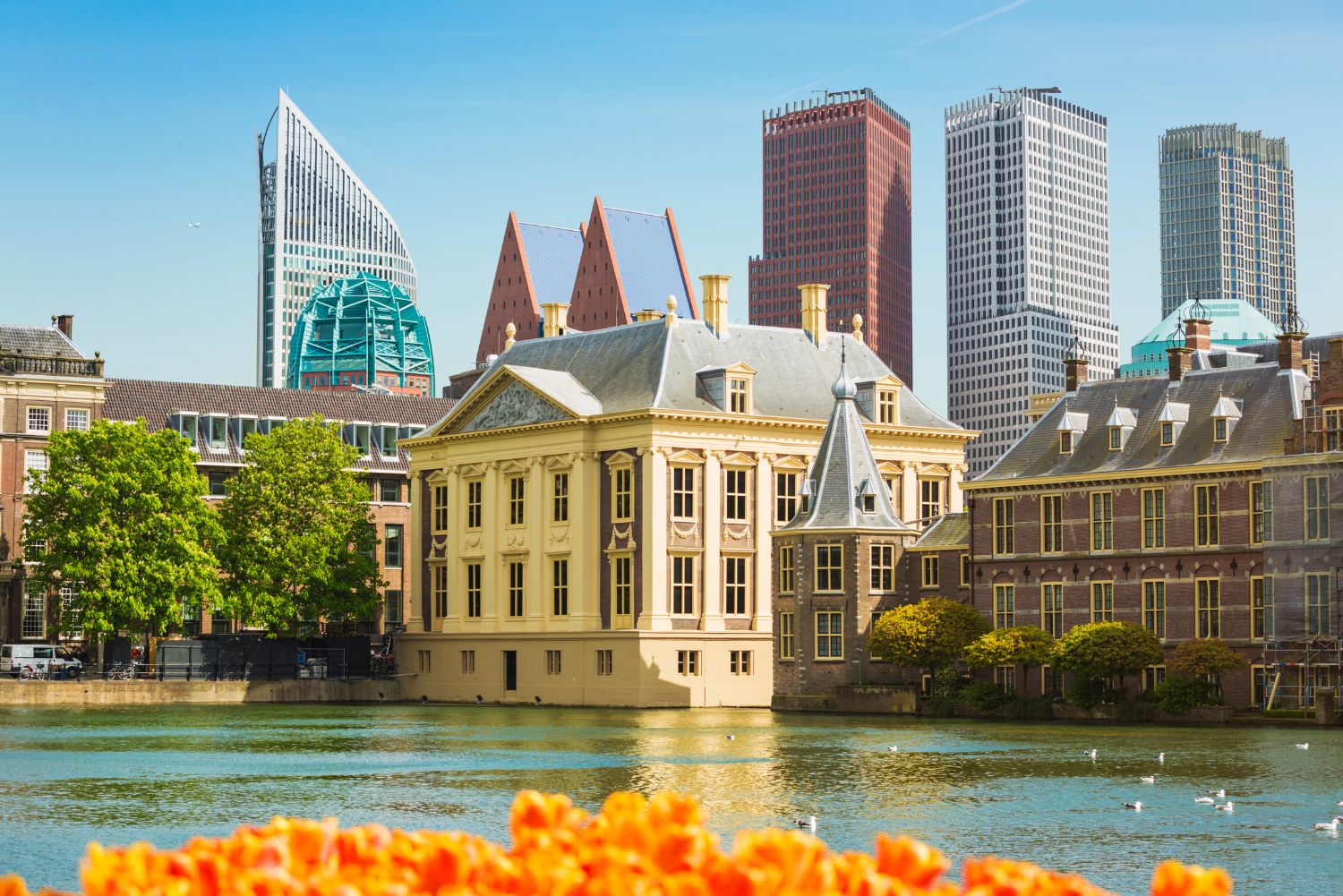 Den Haag